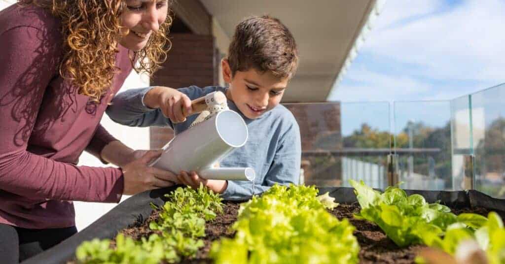 שיקולים אסתטיים וטיפים מתקדמים